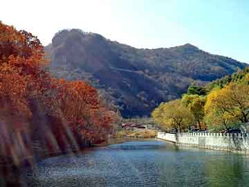 管家婆黑白马报图库，天涯社区